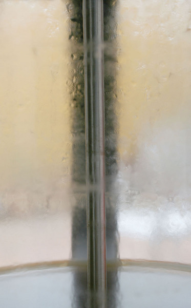VANILLIN, 2010
Digital print,
108 x 82.5 cms
