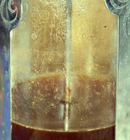 BUTANODIONE,2008
Digital print,
100 X 108 cms.