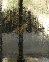 Digital print,2008
17' x 23'' 